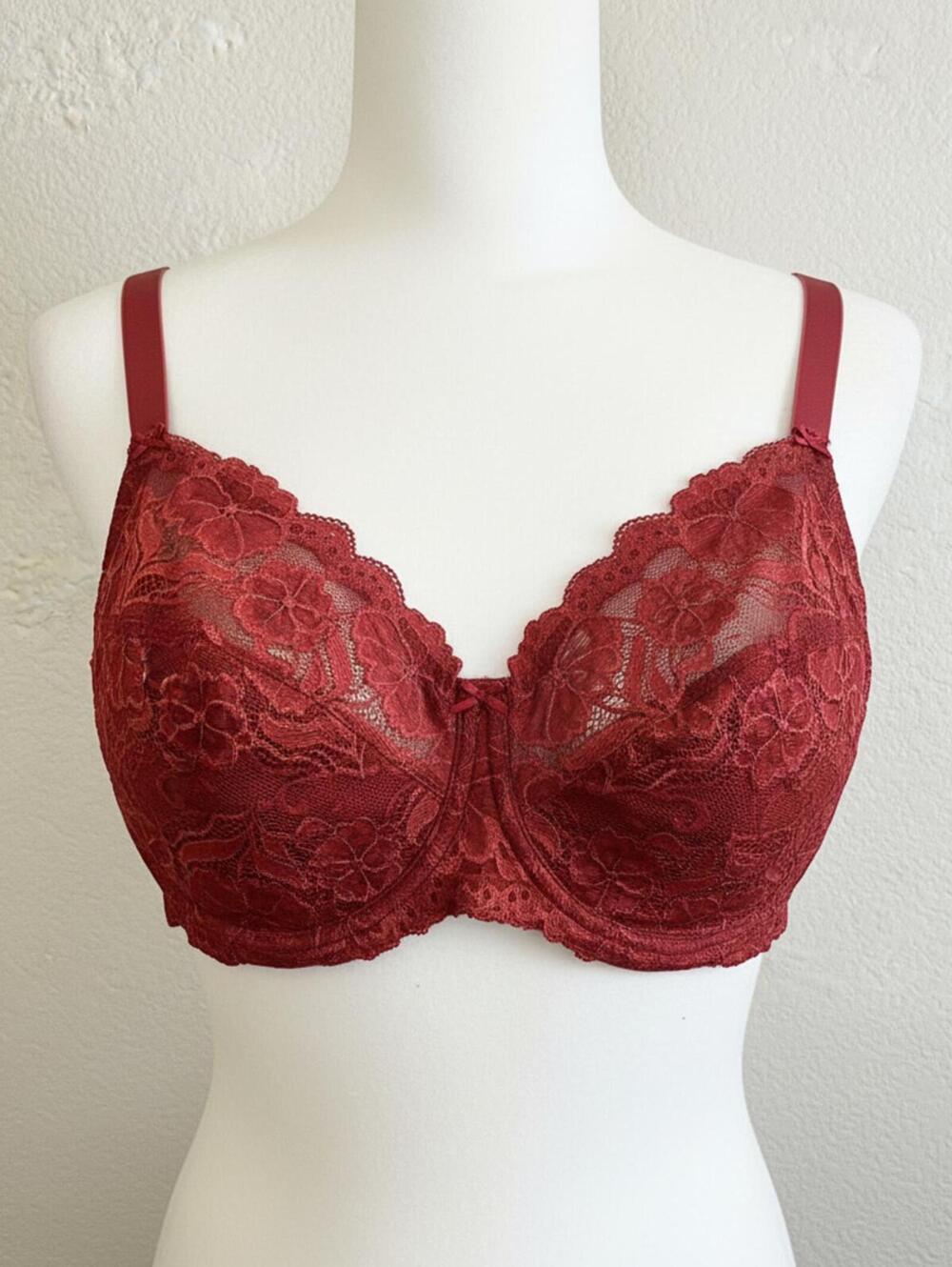 Delimira Lace Underwire Bra in Deep Red